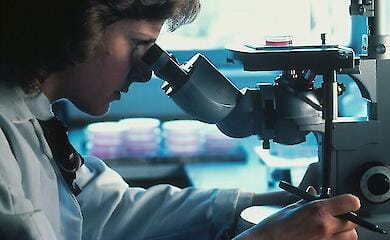 В половине случаев рак поджелудочной железы был полностью побеждён благодаря новой вакцине