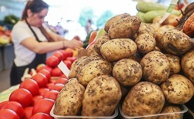 На этой неделе в Киеве пройдут продуктовые ярмарки: список локаций