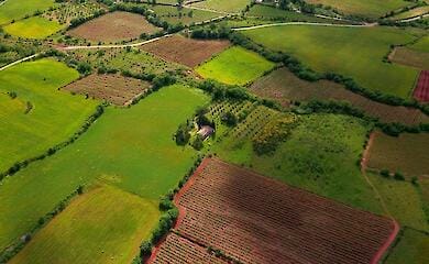 Как поступить, если кто-то незаконно обрабатывает ваш участок