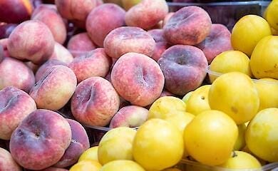 У Києві пройдуть сільськогосподарські ярмарки: куди приходити по свіжі продукти