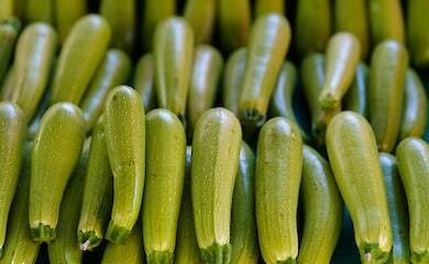 Пять блюд из кабачков на ужин: просто и быстро 