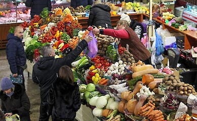 Ціни на овочі в Україні поповзли вниз: скільки коштують огірки та помідори