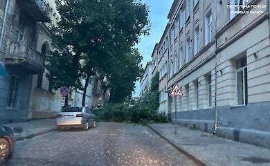 Захід України постраждав від негоди - ураган залишив без світла сотні будинків