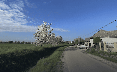 У селах серед лісів - більше життя і вищий рівень добробуту