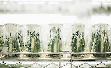 В Риме объявили о создании коалиции в поддержку украинской науки