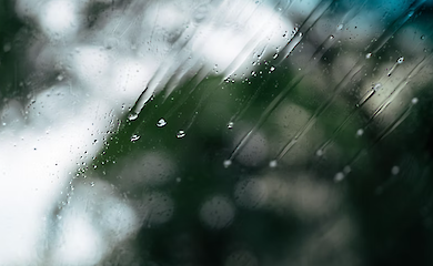 Негода залишила без світла десятки населених пунктів у Черкаській і Полтавській областях