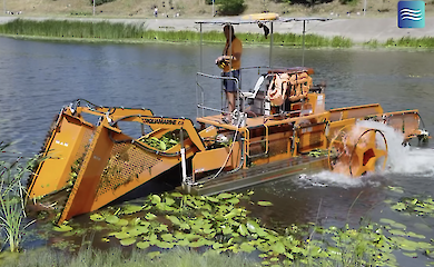 У Києві очищають пляжі від водоростей після завершення "сезону тиші"