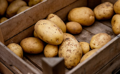 Эксперт сообщил, что будет с ценами на картофель осенью 