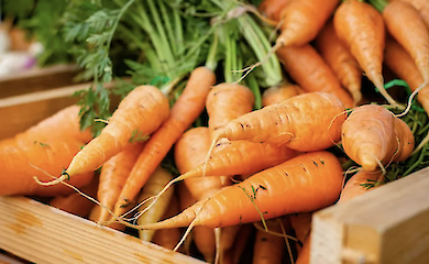 В Україні різко змінили ціни на популярний продукт: скільки тепер коштує