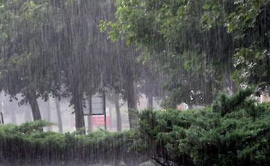 Україну сьогодні накриють дощі та грози: де очікувати погіршення погоди