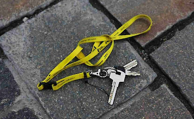 Шолом для кота, укулеле та дерев'яний меч: в "Укрзалізниці" розповіли про найдивовижніші знахідки