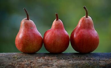 Як приготувати смачний компот із груш: три прості рецепти 