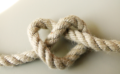 Учені з'ясували, що окситоцин відіграє ключову роль у формуванні дружніх зв'язків 