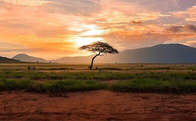 В Африці закликають відмовитися від використання карт, які спотворюють справжні розміри континентів 