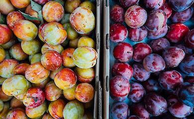 Три рецепти смачного компоту зі слив 