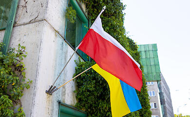 Скорочення допомоги українцям у Польщі: законопроєкт Навроцького подали до Сейму