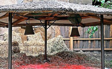 У КиївЗоо відкрили нову локацію для черепах