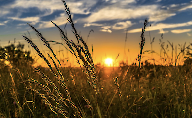 Де в Україні 1 вересня спека ослабне: синоптик поділилася прогнозом