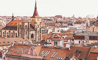 Список благополучних міст Європи дивує У топ найбезпечніших міст Європи у 2025 році увійшли кілька європейських столиць.  Мандрівникам і тим, хто обирає місто для переїзду, важливо знати: де в Європі найбезпечніше? Згідно з рейтингом Riviera Travel, лідерами Європи за рівнем безпеки стали Дубровник, Таллінн і Варшава.  Як пише Euronews, безпеку оцінювали на основі динаміки злочинності за останні п'ять років та її поточного рівня. Такий підхід допомагає зрозуміти, наскільки комфортним і спокійним залишається місто з плином часу. Топ-5 найбезпечніших міст Європи: 1. Дубровник (Хорватія) - культовий туристичний центр зі Старим містом, що прекрасно збереглося (об'єкт ЮНЕСКО). Тут безпечно гуляти навіть уночі, а рівень насильства вкрай низький. Туристи почуваються спокійно - і це вражає. 2.	Таллінн (Естонія) - одне з найбезпечніших міст Північної Європи. Поєднує культурну спадщину та сучасну інфраструктуру: ефективні держпослуги, зручна система таксі та високий комфорт перебування. 3.	Варшава (Польща) - столиця з низьким рівнем злочинності, чудово освітленими вулицями та активною присутністю поліції (утім, останнім часом відмічено випадки нападу - словесного та фізичного - на українських біженців, які розмовляють своєю рідною мовою, це пов'язано з істерією ультраправих сил у Польщі - ред.).  4.	Прага (Чехія) - "місто сотні шпилів" радує туристів не тільки історією, а й спокоєм, відчуттям безпеки. Тут відмінно працюють правоохоронні органи, а система відеоспостереження допомагає передбачати загрози. 5.	Краків (Польща) - вважає одним із найгостинніших міст Європи. Безпечний транспорт, освітлені пішохідні зони та ефективні заходи охорони роблять його ідеальним місцем для прогулянок і відпочинку. До топ-10 також входять Амстердам, де довіра до поліції та ліберальне суспільство сприяють спокійній атмосфері, а також Мюнхен, Рейк'явік, Цюріх і Будапешт.