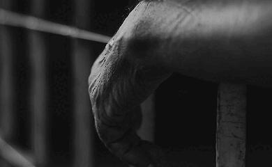 Кабінет Міністрів України роз'яснив права колишніх в'язнів Росії - військових і цивільних