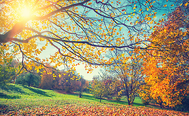 У вихідні на Україну чекає літнє тепло до +29°C