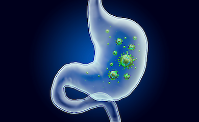 Правильное питание при гастрите и панкреатите