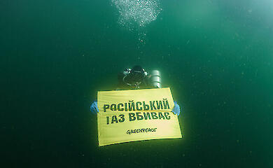 Greenpeace требует закрыть тему восстановления &laquo;Северного потока&raquo;