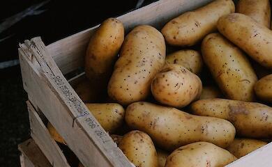 Восени в Україні подорожчають картопля та соняшникова олія: експерти радять робити запаси