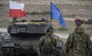 Поляки не особливо довіряють НАТО: скільки готові стати біженцями