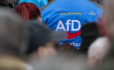 Пророссийская партия АдГ вышла на первое место по популярности в Германии - Bild