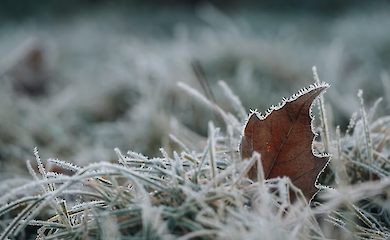 Температура резко упадет: синоптики прогнозируют заморозки