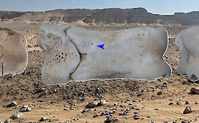 У Єгипті виявлено унікальний кістяний свисток часів фараона Ехнатона