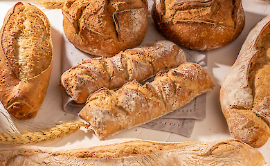 В Украине прогнозируют рост цен на хлеб: чего ждать осенью и зимой