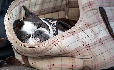 У Києві розпочався опалювальний сезон. Подробиці повідомив Кличко