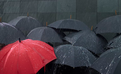 Как очистить поверхность зонта от загрязнений 