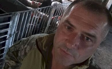 Від кулеметника до аграрія: ветеран зі Хмельниччини Олег Домчук відбудував закинуту ферму й розводить свиней і південноафриканських овець 