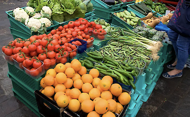 Де у столиці відбудуться продуктові ярмарки з 7 по 12 жовтня