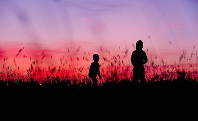 ВР удосконалить законодавство для захисту дітей від насильства та жорстокості 