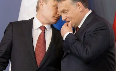 Трамп дал пощечину Европе. Что известно о встрече с Путиным в Будапеште