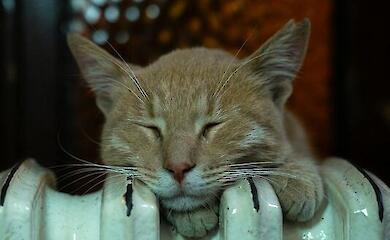 Украинцам осталось подождать дней десять, пока потеплеют батареи