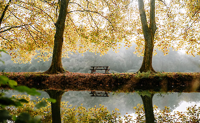 Початок листопада в Україні нагадуватиме весну