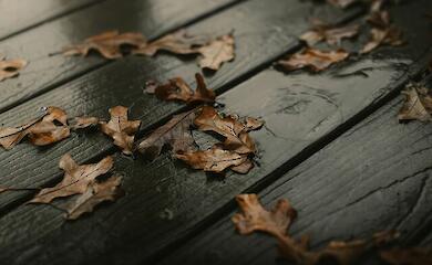 Синоптики розповіли, яка погода чекає на українців у неділю, 2 листопада 