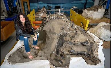 Палеонтологи розкрили таємницю "міні-тиранозавра" з Монтани