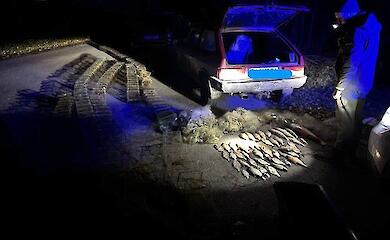 Під Києвом чоловік наловив раків та риби майже на 250 тисяч гривень