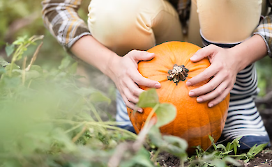 Кардіологи розповіли, які осінні овочі та фрукти допомагають зміцнити серце