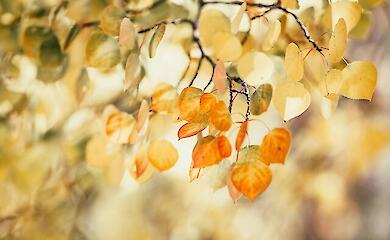Синоптики розповіли про погоду на п'ятницю, 14 листопада