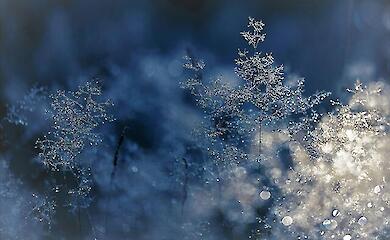 Що буде з погодою до кінця листопада, розповів синоптик