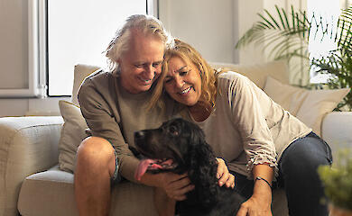 20 хвилин із собакою-терапевтом помітно покращують настрій літніх хворих