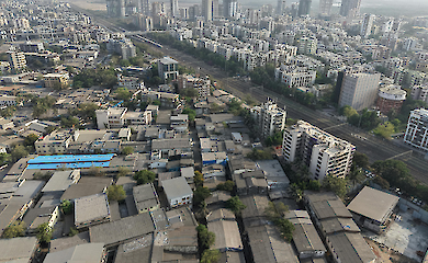 Учені: стрес і хвороби посилює життя далеко від природи 