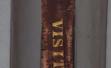 Адресна книга Дарвіна розкрила нові деталі його приватного життя